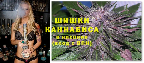 спайс Няндома