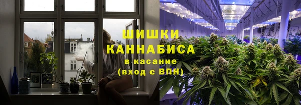 экстази Арсеньев