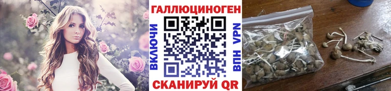 Галлюциногенные грибы GOLDEN TEACHER  Пыталово 